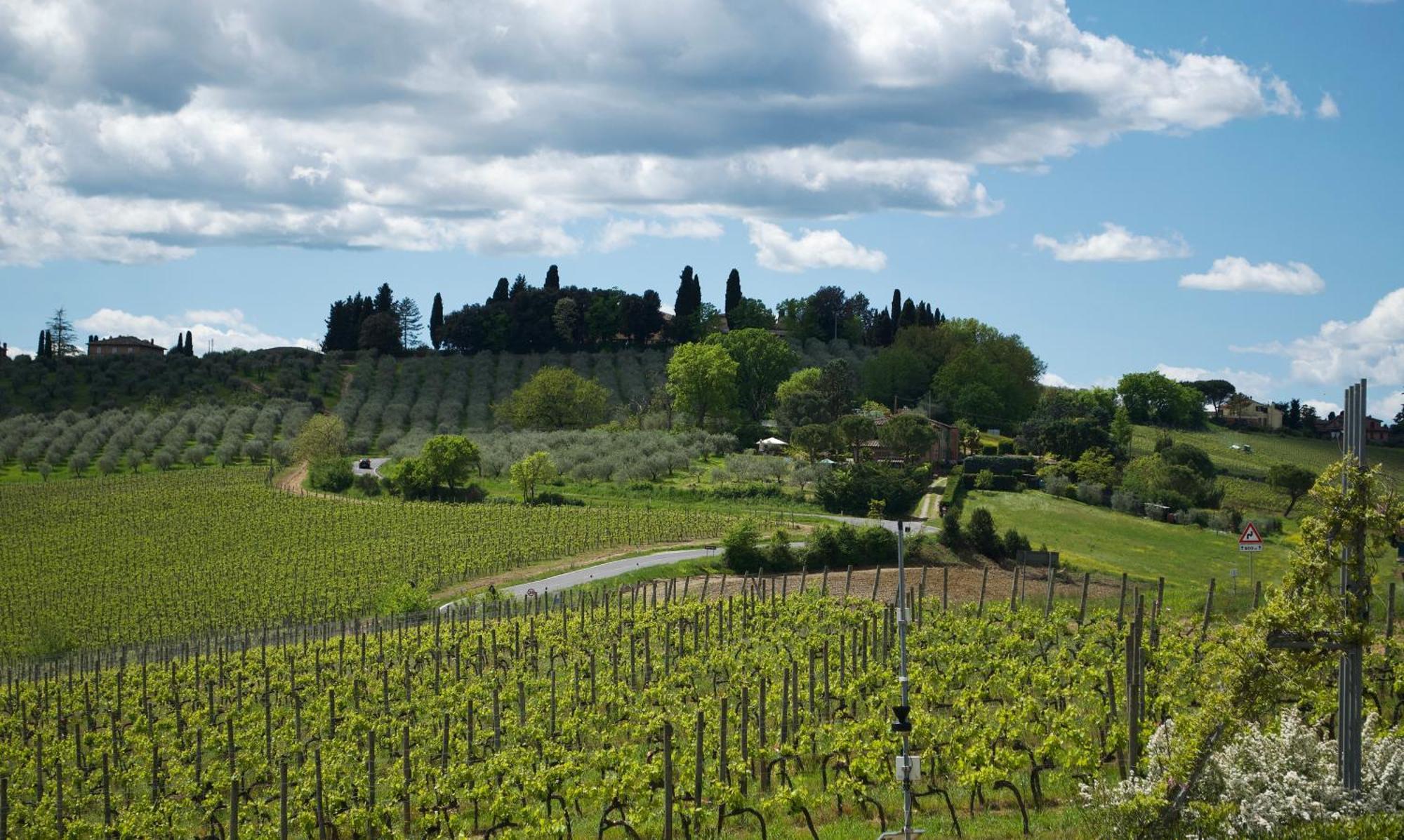Villa Il Castagno Wine & Resort Siena Ngoại thất bức ảnh